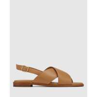 Read Wittner Reviews